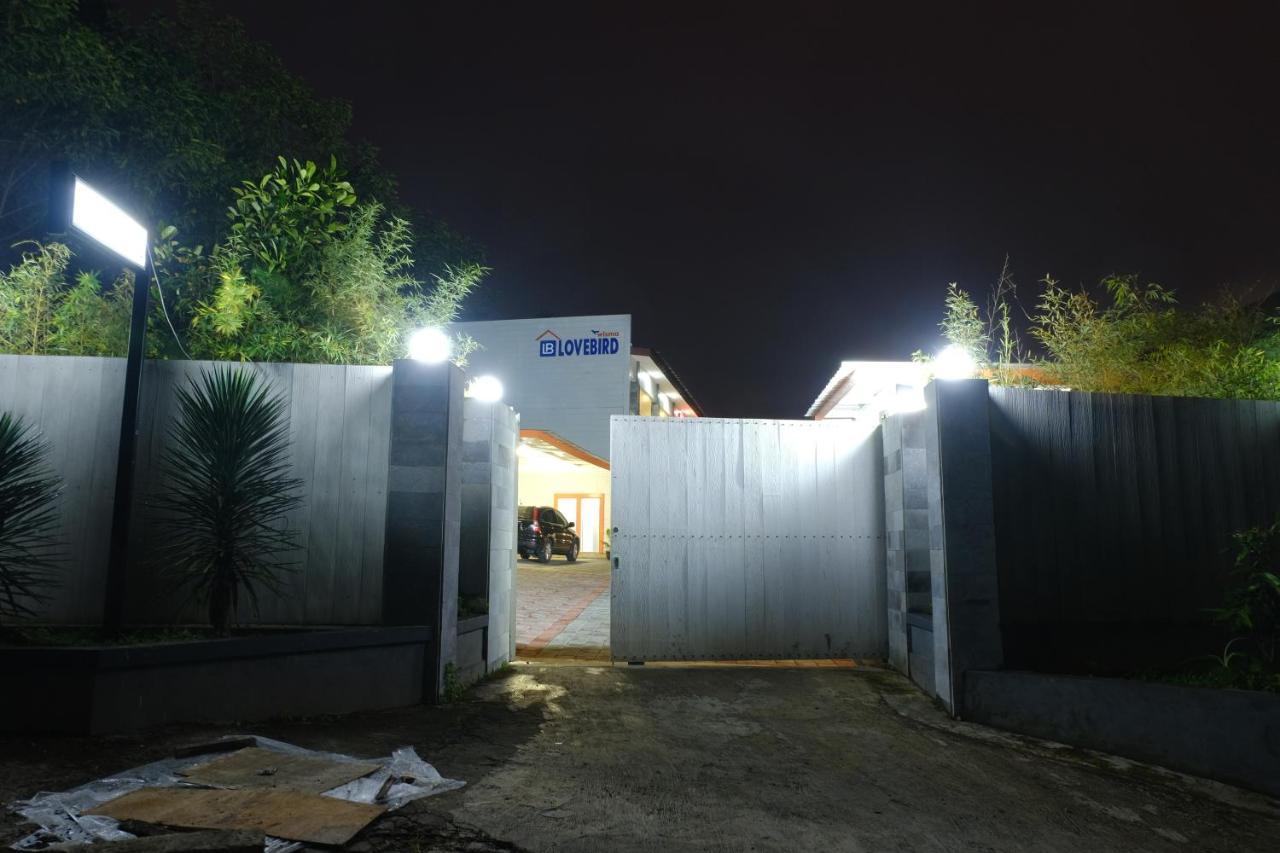 Wisma Lovebird Kalianget Exterior foto